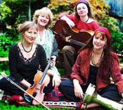 Silkweed Band